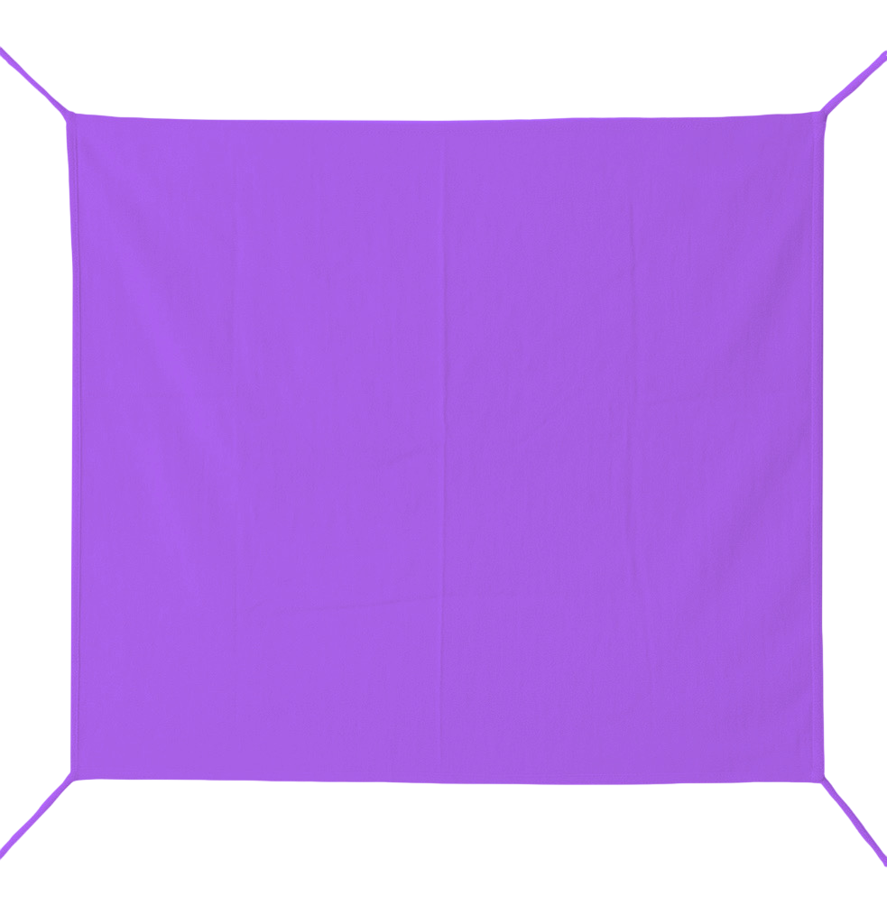 Vibrant Violet Patka